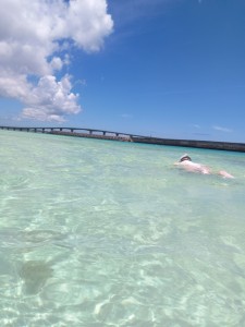 IMG_20260802_132950
